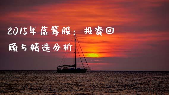 2015年蓝筹股：投资回顾与精选分析_https://wap.yjjixie.cn_商业资讯_第1张
