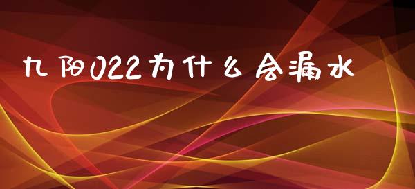 九阳022为什么会漏水_https://wap.yjjixie.cn_保险理财_第1张