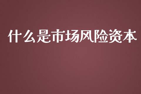 什么是市场风险资本_https://wap.yjjixie.cn_保险理财_第1张