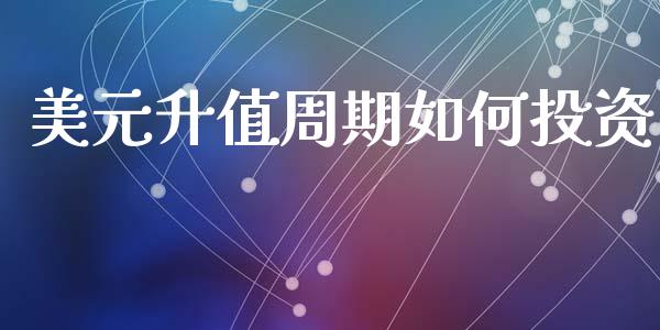 美元升值周期如何投资_https://wap.yjjixie.cn_港股行情_第1张