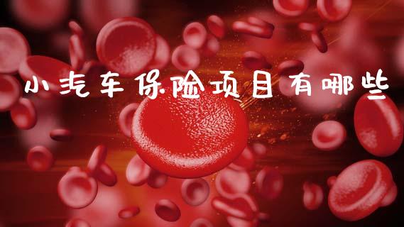 小汽车保险项目有哪些_https://wap.yjjixie.cn_证券市场_第1张