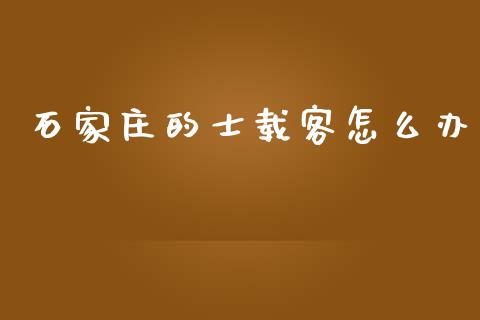 石家庄的士载客怎么办_https://wap.yjjixie.cn_保险理财_第1张