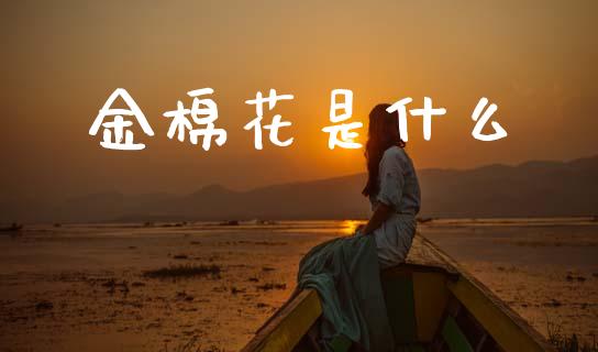 金棉花是什么_https://wap.yjjixie.cn_港股行情_第1张