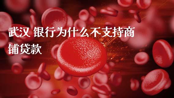 武汉 银行为什么不支持商铺贷款_https://wap.yjjixie.cn_港股行情_第1张
