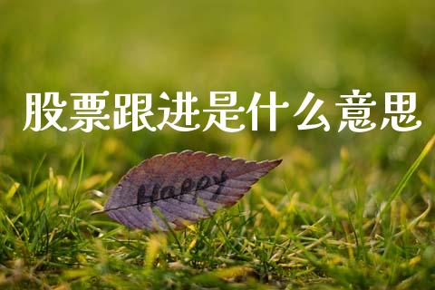 股票跟进是什么意思_https://wap.yjjixie.cn_商业资讯_第1张
