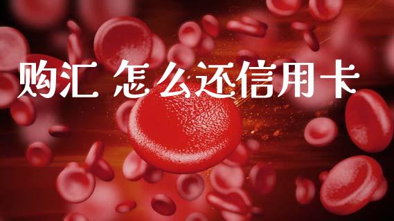 购汇 怎么还信用卡_https://wap.yjjixie.cn_证券市场_第1张