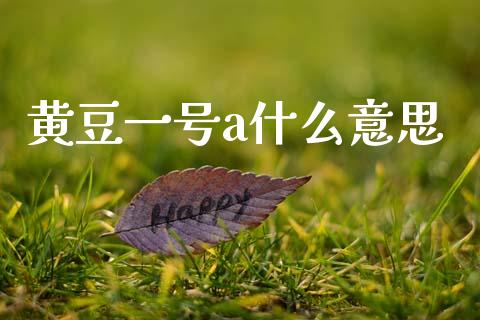 黄豆一号a什么意思_https://wap.yjjixie.cn_商业资讯_第1张