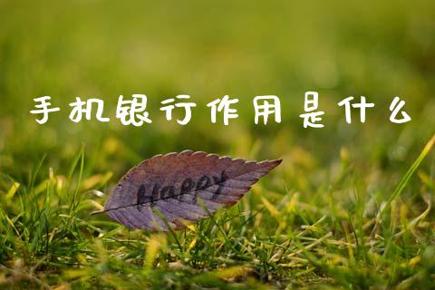 手机银行作用是什么_https://wap.yjjixie.cn_证券市场_第1张