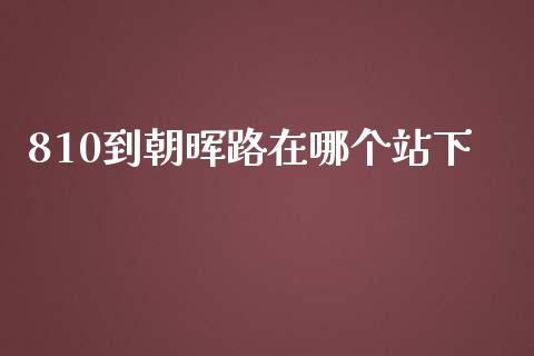 810到朝晖路在哪个站下_https://wap.yjjixie.cn_证券市场_第1张