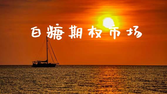 白糖期权市场_https://wap.yjjixie.cn_保险理财_第1张