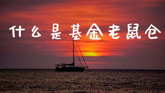 什么是基金老鼠仓_https://wap.yjjixie.cn_商业资讯_第1张