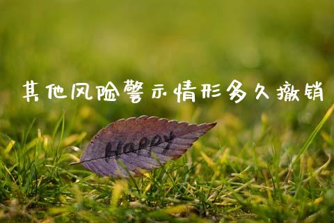 其他风险警示情形多久撤销_https://wap.yjjixie.cn_保险理财_第1张