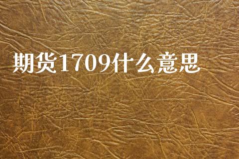 期货1709什么意思_https://wap.yjjixie.cn_港股行情_第1张
