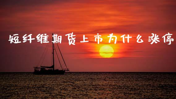 短纤维期货上市为什么涨停_https://wap.yjjixie.cn_证券市场_第1张