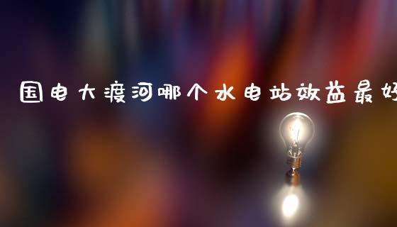国电大渡河哪个水电站效益最好_https://wap.yjjixie.cn_保险理财_第1张
