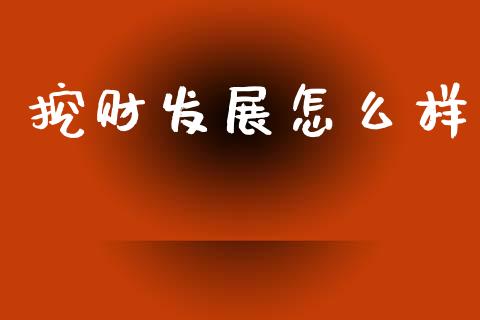 挖财发展怎么样_https://wap.yjjixie.cn_证券市场_第1张