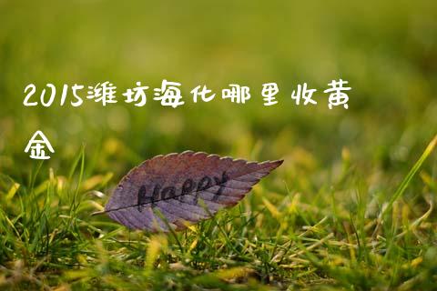 2015潍坊海化哪里收黄金_https://wap.yjjixie.cn_保险理财_第1张