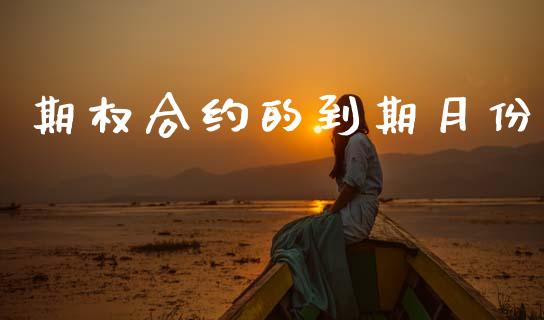 期权合约的到期月份_https://wap.yjjixie.cn_商业资讯_第1张