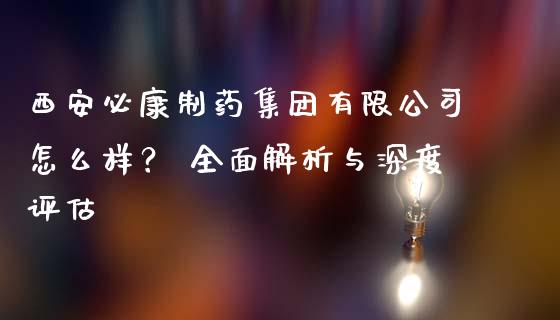 西安必康制药集团有限公司怎么样？ 全面解析与深度评估_https://wap.yjjixie.cn_商业资讯_第1张