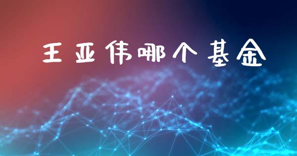 王亚伟哪个基金_https://wap.yjjixie.cn_商业资讯_第1张