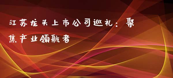 江苏龙头上市公司巡礼：聚焦产业领航者_https://wap.yjjixie.cn_证券市场_第1张