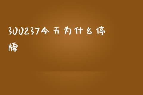300237今天为什么停牌_https://wap.yjjixie.cn_商业资讯_第1张