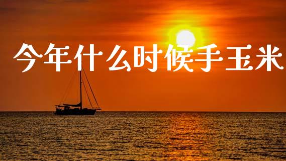 今年什么时候手玉米_https://wap.yjjixie.cn_港股行情_第1张