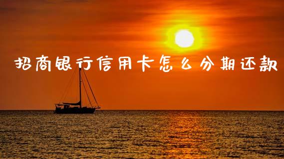 招商银行信用卡怎么分期还款_https://wap.yjjixie.cn_证券市场_第1张