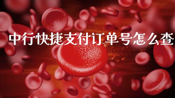 中行快捷支付订单号怎么查_https://wap.yjjixie.cn_证券市场_第1张