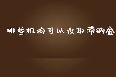 哪些机构可以收取滞纳金_https://wap.yjjixie.cn_港股行情_第1张