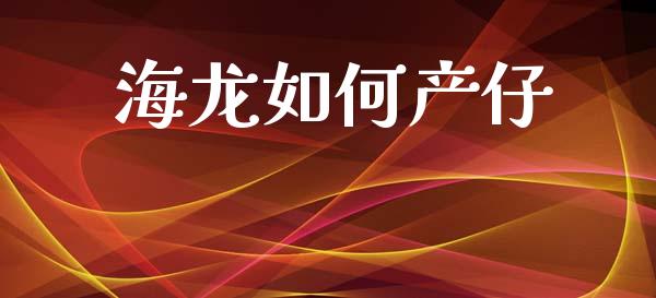 海龙如何产仔_https://wap.yjjixie.cn_商业资讯_第1张