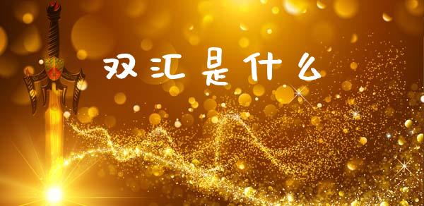双汇是什么_https://wap.yjjixie.cn_保险理财_第1张