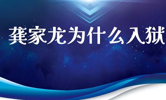 龚家龙为什么入狱_https://wap.yjjixie.cn_商业资讯_第1张