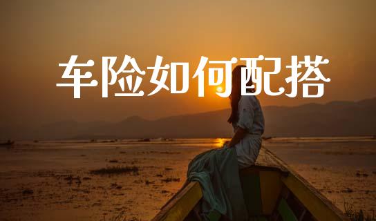 车险如何配搭_https://wap.yjjixie.cn_保险理财_第1张