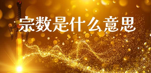 宗数是什么意思_https://wap.yjjixie.cn_港股行情_第1张