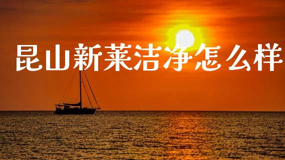 昆山新莱洁净怎么样_https://wap.yjjixie.cn_商业资讯_第1张