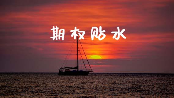 期权贴水_https://wap.yjjixie.cn_保险理财_第1张