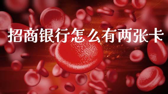 招商银行怎么有两张卡_https://wap.yjjixie.cn_商业资讯_第1张