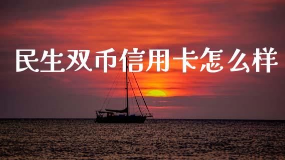 民生双币信用卡怎么样_https://wap.yjjixie.cn_保险理财_第1张