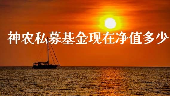 神农私募基金现在净值多少_https://wap.yjjixie.cn_证券市场_第1张