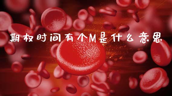 期权时间有个M是什么意思_https://wap.yjjixie.cn_保险理财_第1张