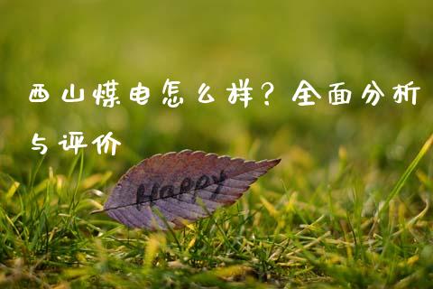 西山煤电怎么样？全面分析与评价_https://wap.yjjixie.cn_保险理财_第1张