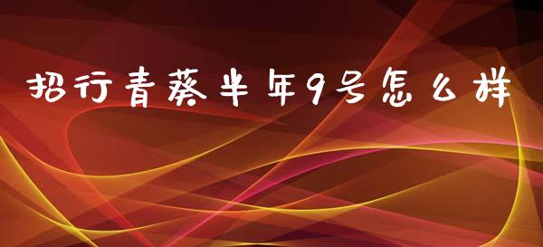 招行青葵半年9号怎么样_https://wap.yjjixie.cn_商业资讯_第1张