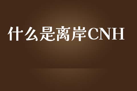 什么是离岸CNH_https://wap.yjjixie.cn_保险理财_第1张
