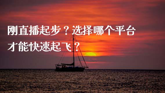 刚直播起步？选择哪个平台才能快速起飞？_https://wap.yjjixie.cn_商业资讯_第1张