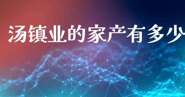 汤镇业的家产有多少_https://wap.yjjixie.cn_商业资讯_第1张