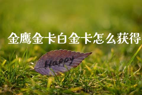 金鹰金卡白金卡怎么获得_https://wap.yjjixie.cn_港股行情_第1张