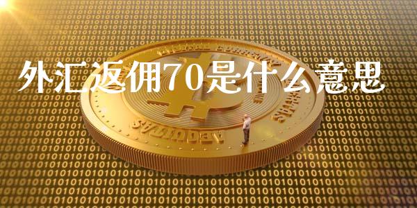 外汇返佣70是什么意思_https://wap.yjjixie.cn_港股行情_第1张