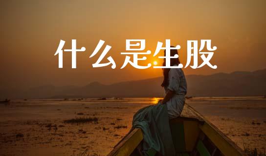 什么是生股_https://wap.yjjixie.cn_商业资讯_第1张