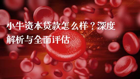 小牛资本贷款怎么样？深度解析与全面评估_https://wap.yjjixie.cn_港股行情_第1张
